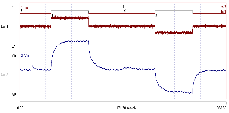 File membrane tau